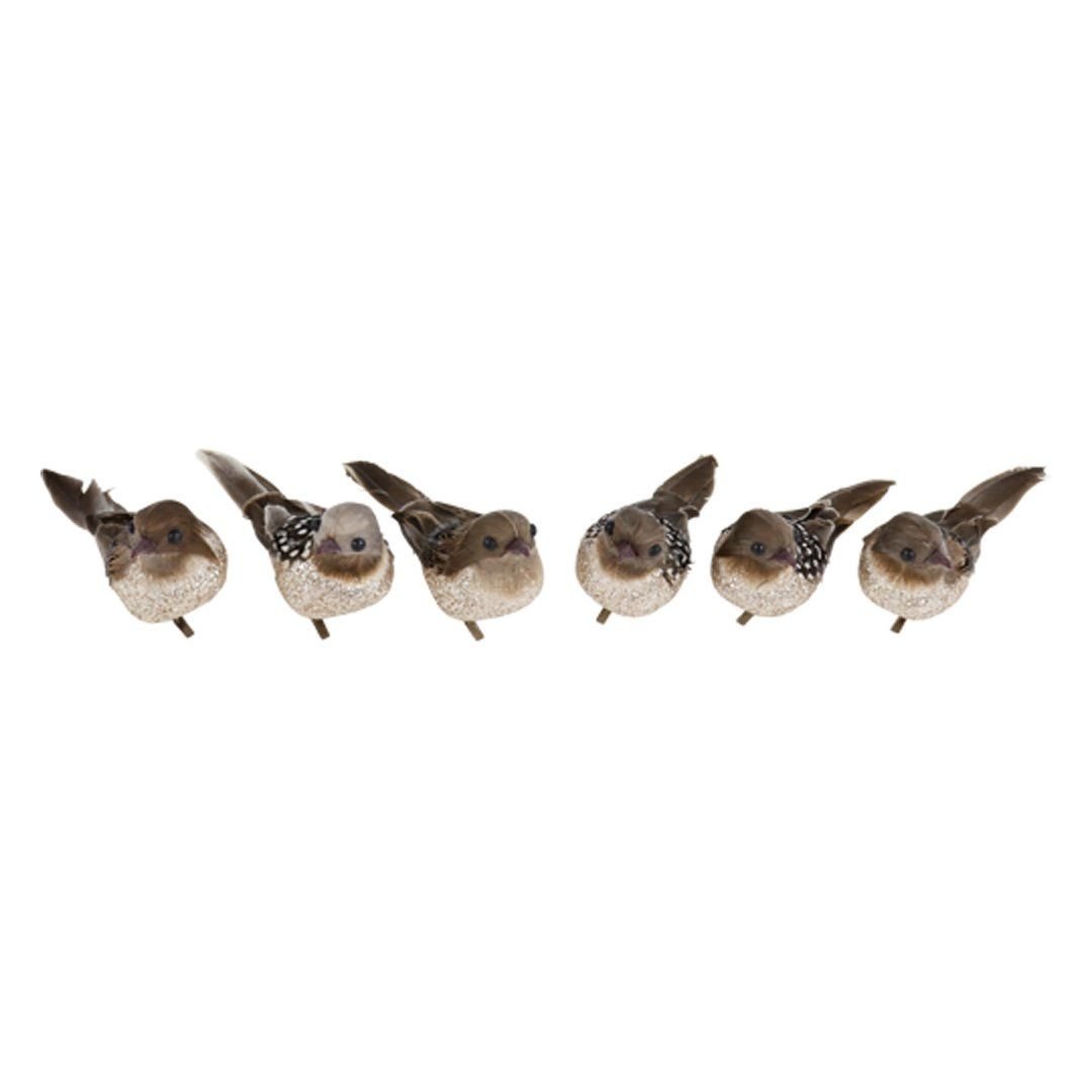 Natural Kuşlar (6 Parça) - Furnicept
